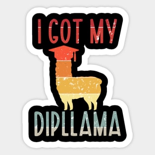 I Got My Dipllama Sticker